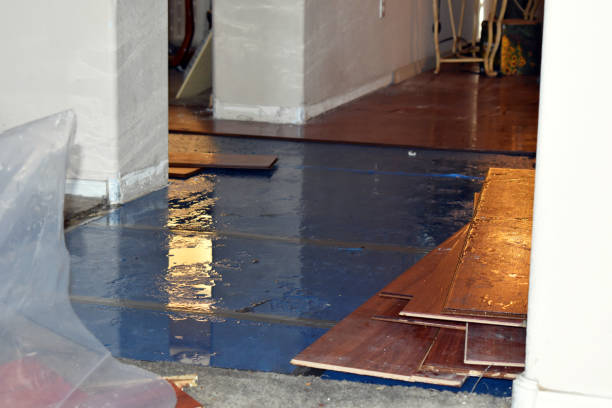 Professional Basement Flood Cleanup technician working in Kent, WA